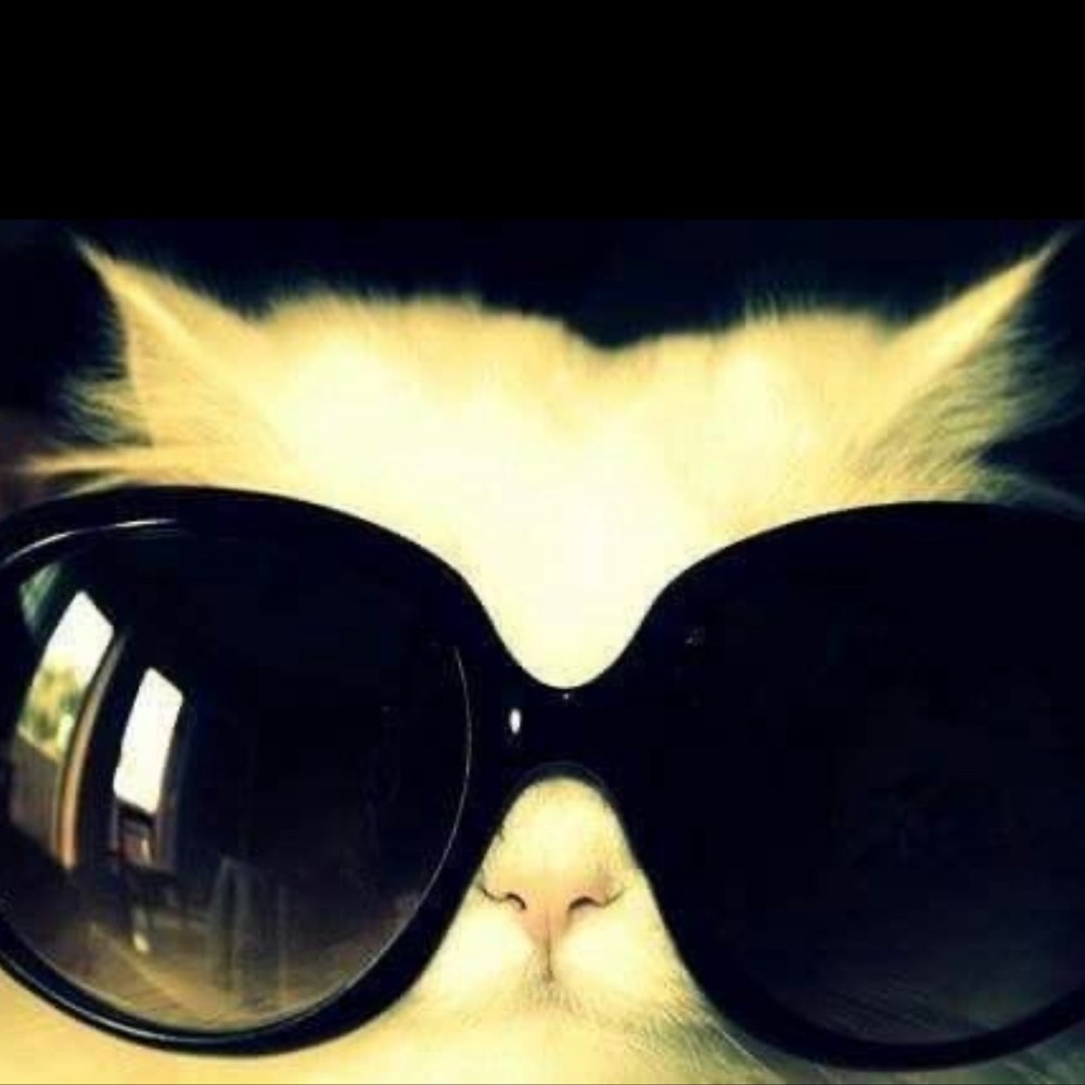 Meet your Posher, Skylar